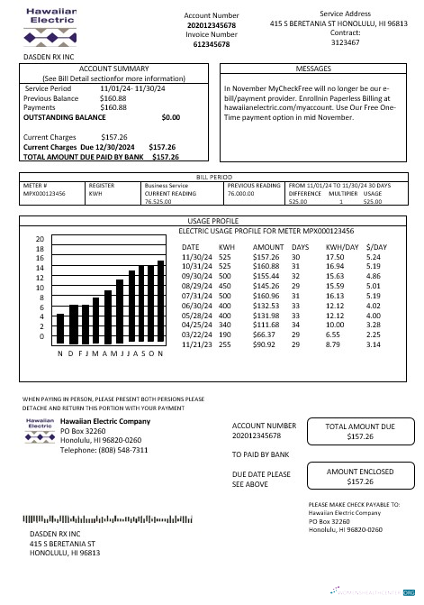Download USA Hawaiian Electric business utility bill template in Word and PDF formats Photoshop template